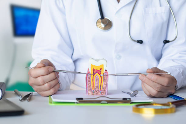 Best Emergency Treatment for Dental Infections or Abscesses in Keystone, FL